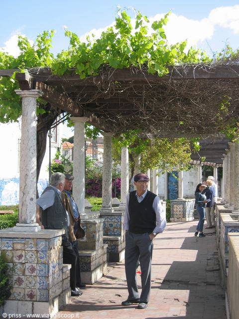 Men chatting under a grapevine pergola on azulejo-tiled columns