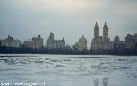 A glacial day in Central Park