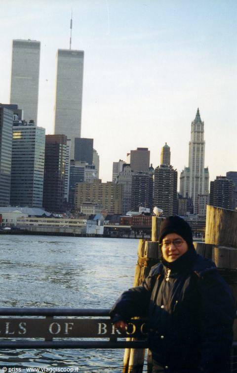 in Brooklyn to admire Manhattan
