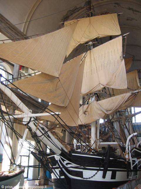 Whale Museum