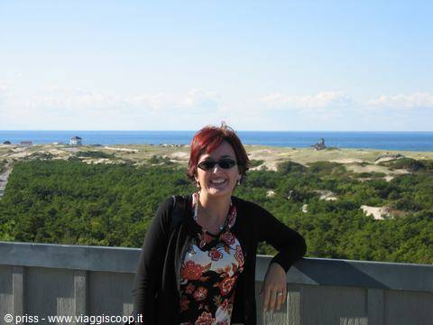 In the Cape Cod peninsula