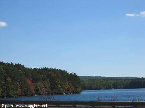 Blue lake surrounded by autumn forest, guardrail in foreground