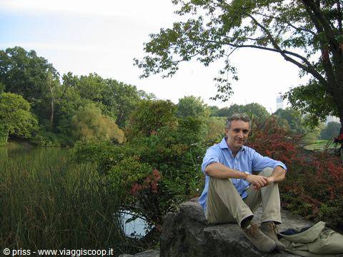 Man sitting on a rock beside the lake in Central Park
