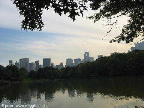 Manhattan skyscrapers reflected in the Central Park lake, oak branches overhead