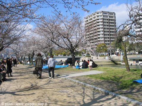 picnic in the park on the blue tarpaulin
