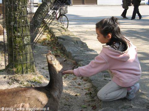 little girl with Bambi