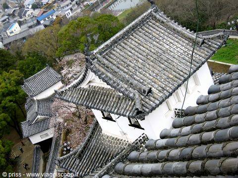 Tetti grigi di Himeji visti dall'alto tra i ciliegi in fiore