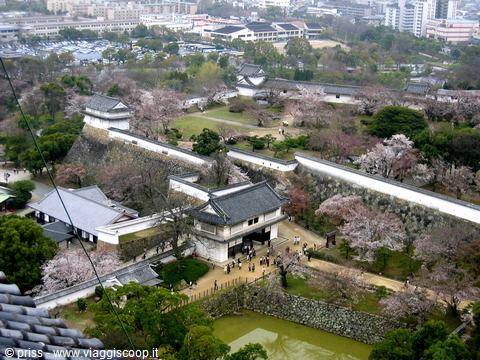 Mura e cancelli del castello di Himeji tra i ciliegi in fiore