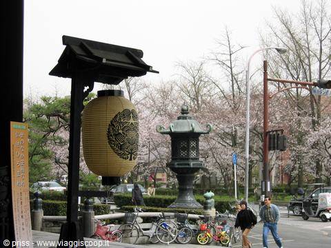 Lanterna di bronzo e lanterna di carta tra ciliegi in fiore a Tokyo