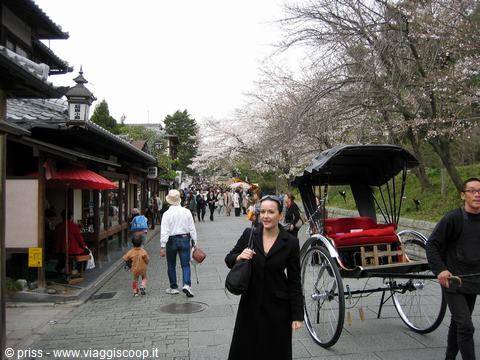 Miyajima: turista in nero accanto a un risciò sotto i ciliegi in fiore
