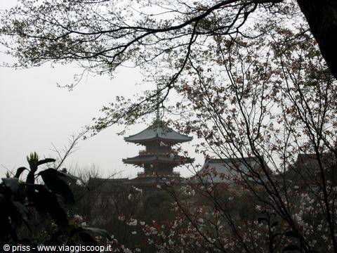 Pagoda a tre piani tra rami di ciliegio in fiore, cielo grigio, Kyoto