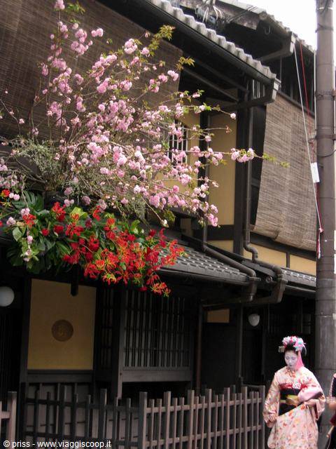 a real maiko