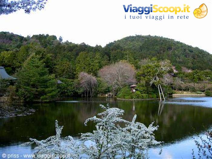 Pond reflecting trees and green hill, wooden pavilions, white blossoms, Kyoto