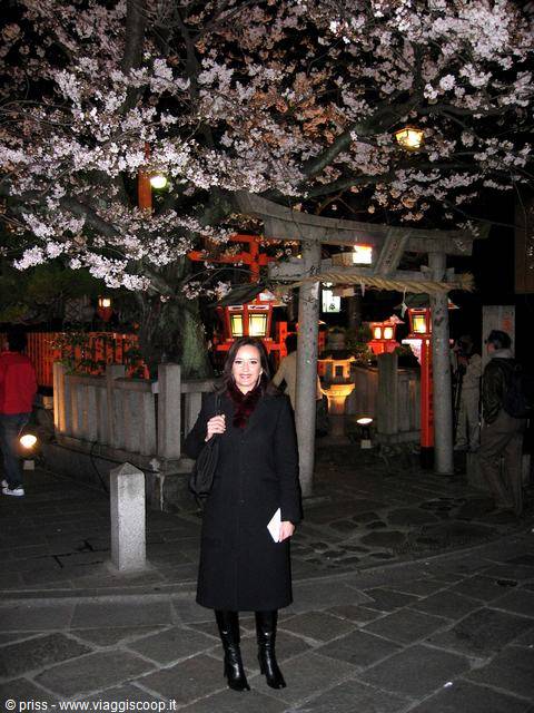 Donna in cappotto nero sotto i ciliegi fioriti, torii e lanterne, Kyoto