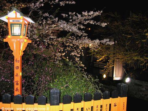 Orange lantern with kanji beside blooming cherry tree at night