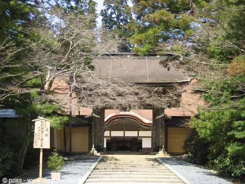 Wooden gate with thatched roof, stone steps between trees, winter light