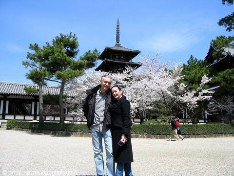 Couple in front of wooden pagoda among blooming cherry trees, blue sky