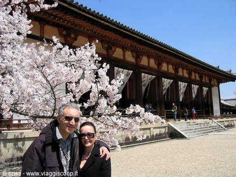 Couple in front of Tōdai-ji temple in Nara among blooming cherry trees