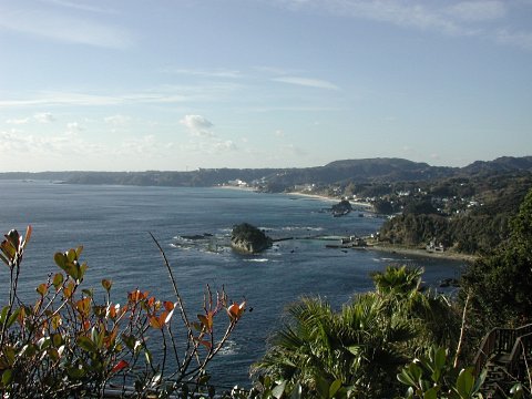 Shirahama bay in Shimoda, dark rocks among palms and blue sea under daytime sky