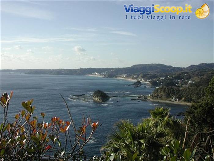 Shirahama bay in Shimoda, dark rocks among palms and blue sea under daytime sky