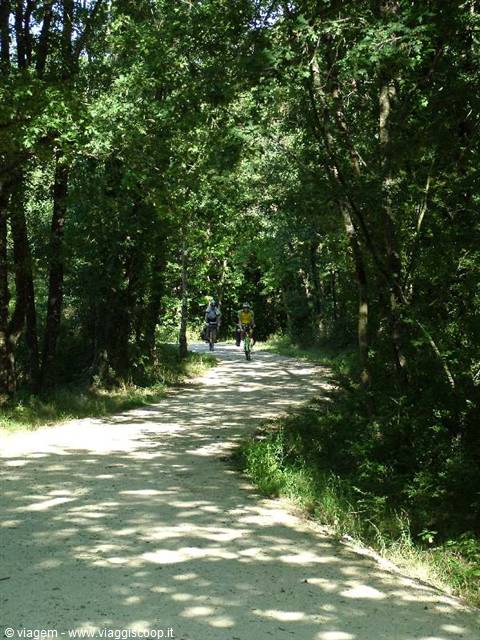 The motorways for bikes