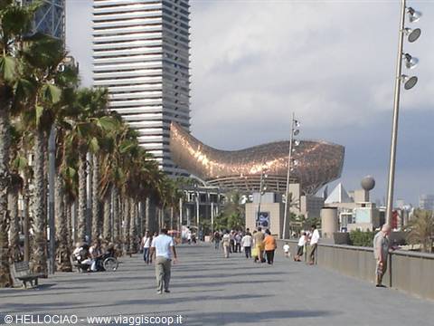 Promenade at Barcelona's Port Olímpic, Gehry's golden fish sculpture among palm trees