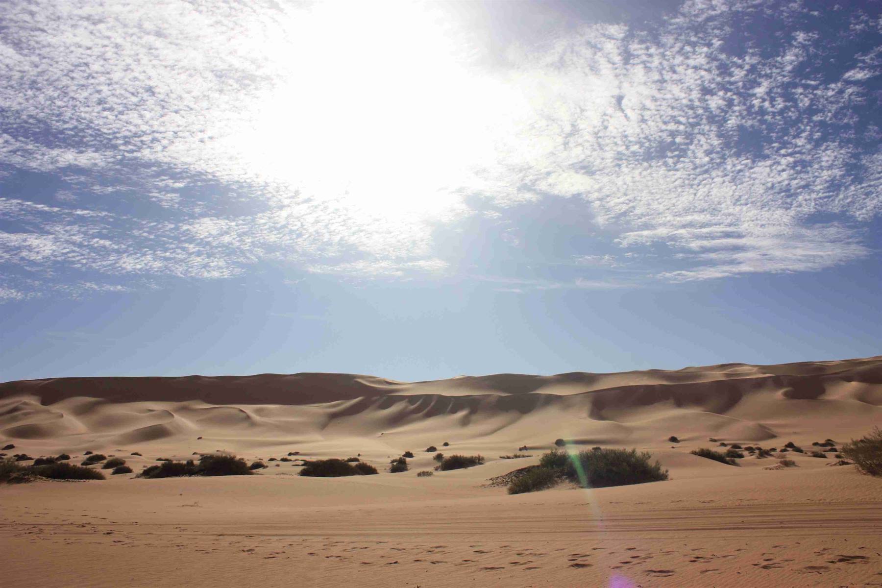 Desert