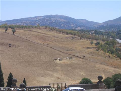 Ronda - Typical Andalusian landscape