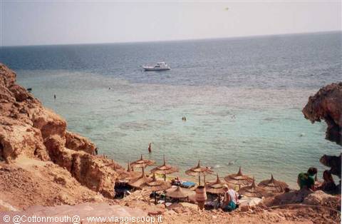 Sharm - Rocky beach of Um el Sid