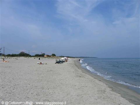 Light sandy beach with umbrellas, people sunbathing and waves on the shore