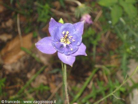 Rifugio 'Cesare Battisti' Piccole Dolomiti