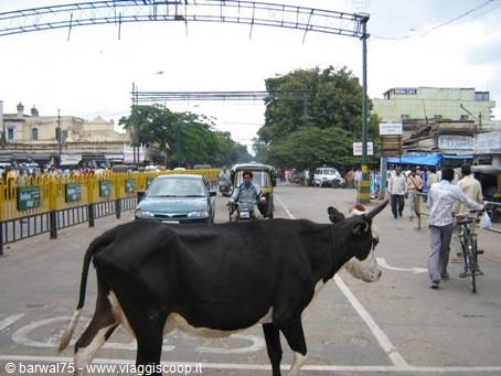 Road in Mysore