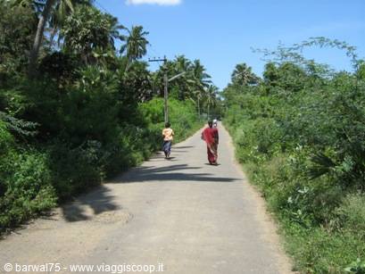 KANYAKUMARI:towards the sacred mount