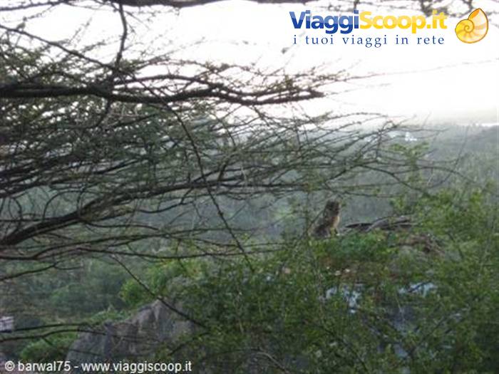 KANYAKUMARI:a hermit on the sacred mount