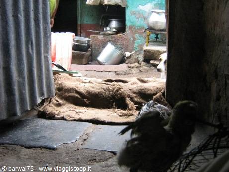 MADURAI:View from inside Ganesan junior's house 