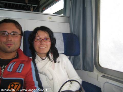 Bello & a travel companion