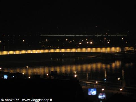 The Danube by night