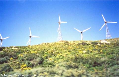 Tarifa windmills