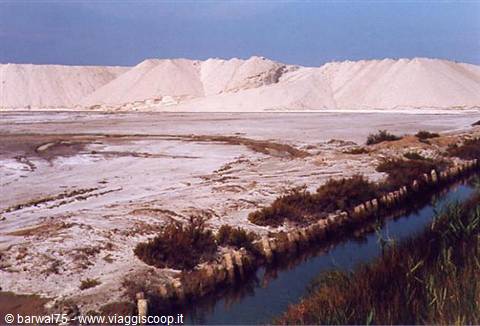 Camargue