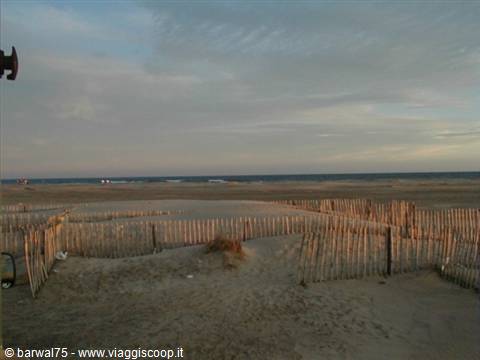 Camargue
