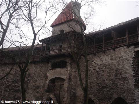 Red-roofed tower on Tallinn's medieval stone walls, bare branches, grey light