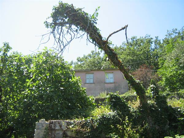 The 'our' house in the woods