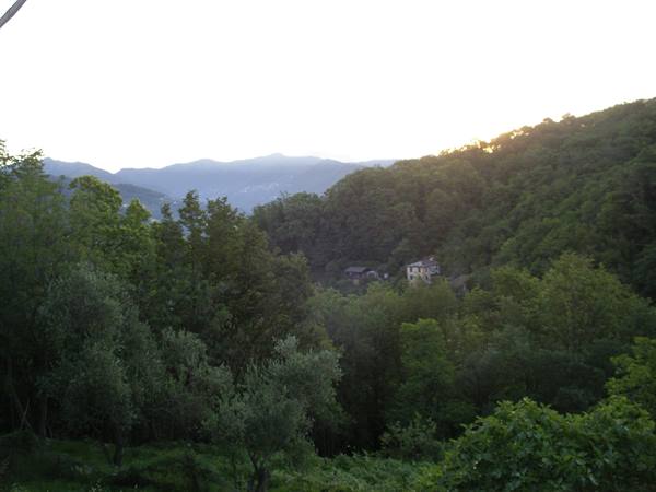 From the window of the house