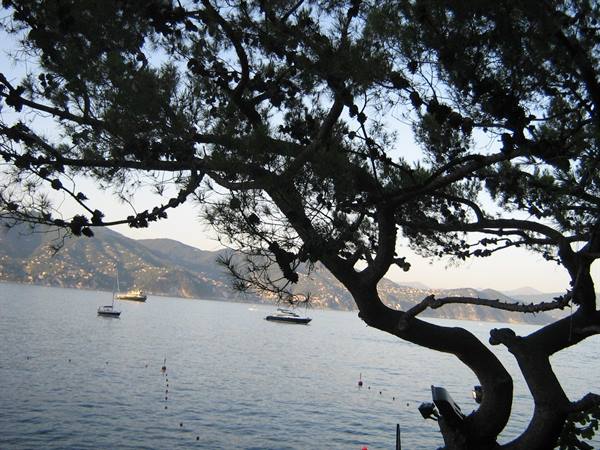 Towards Portofino