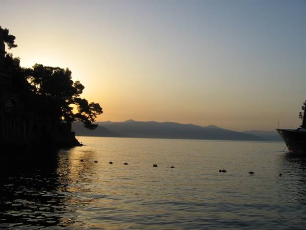Low sun over Adriatic sea, trees silhouetted, buoys floating on calm water