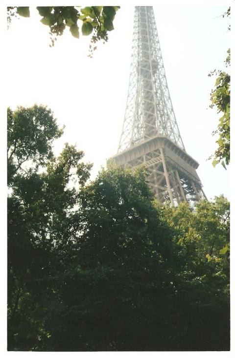The iron Eiffel Tower rises above green trees under a bright sky