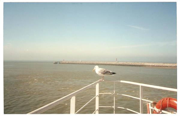 On the ferry to England