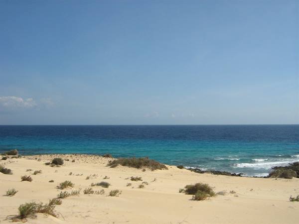 Sand dunes with shrubs and turquoise sea under clear blue sky