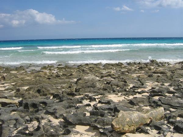 Dark volcanic rocks on the shore before turquoise sea with waves and foam