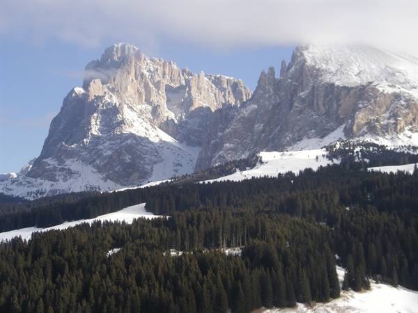 Snow-covered Sassolungo dolomite peaks above a fir forest